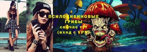 крисы Алзамай